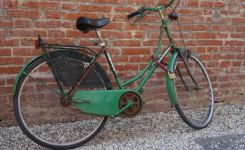 The vintage bicycles of Lucca, Italy