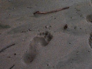 Footprints